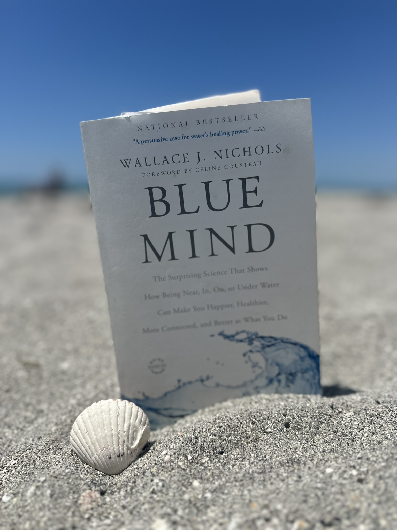 Living "Blue Mind": Honoring Dr. Wallace J. Nichols with Amanda of Northern Tides Studio