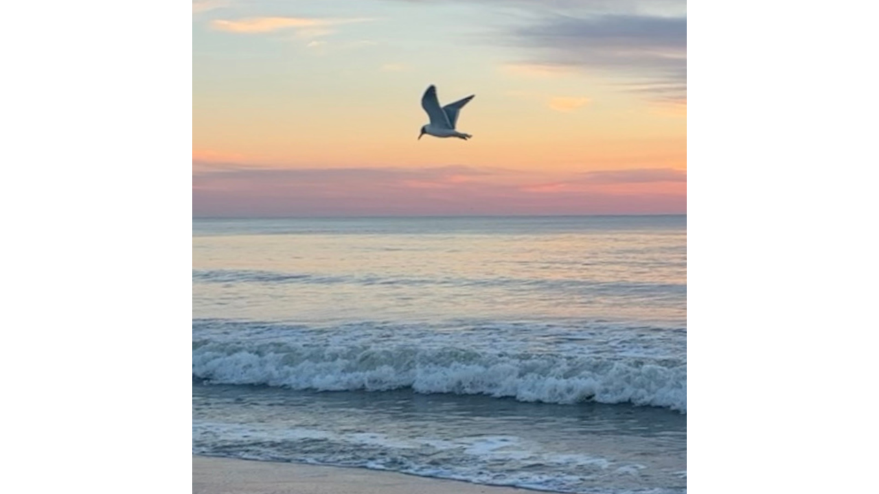 From Burnout to Bliss: How the Beach Heals with Geraldine Mana