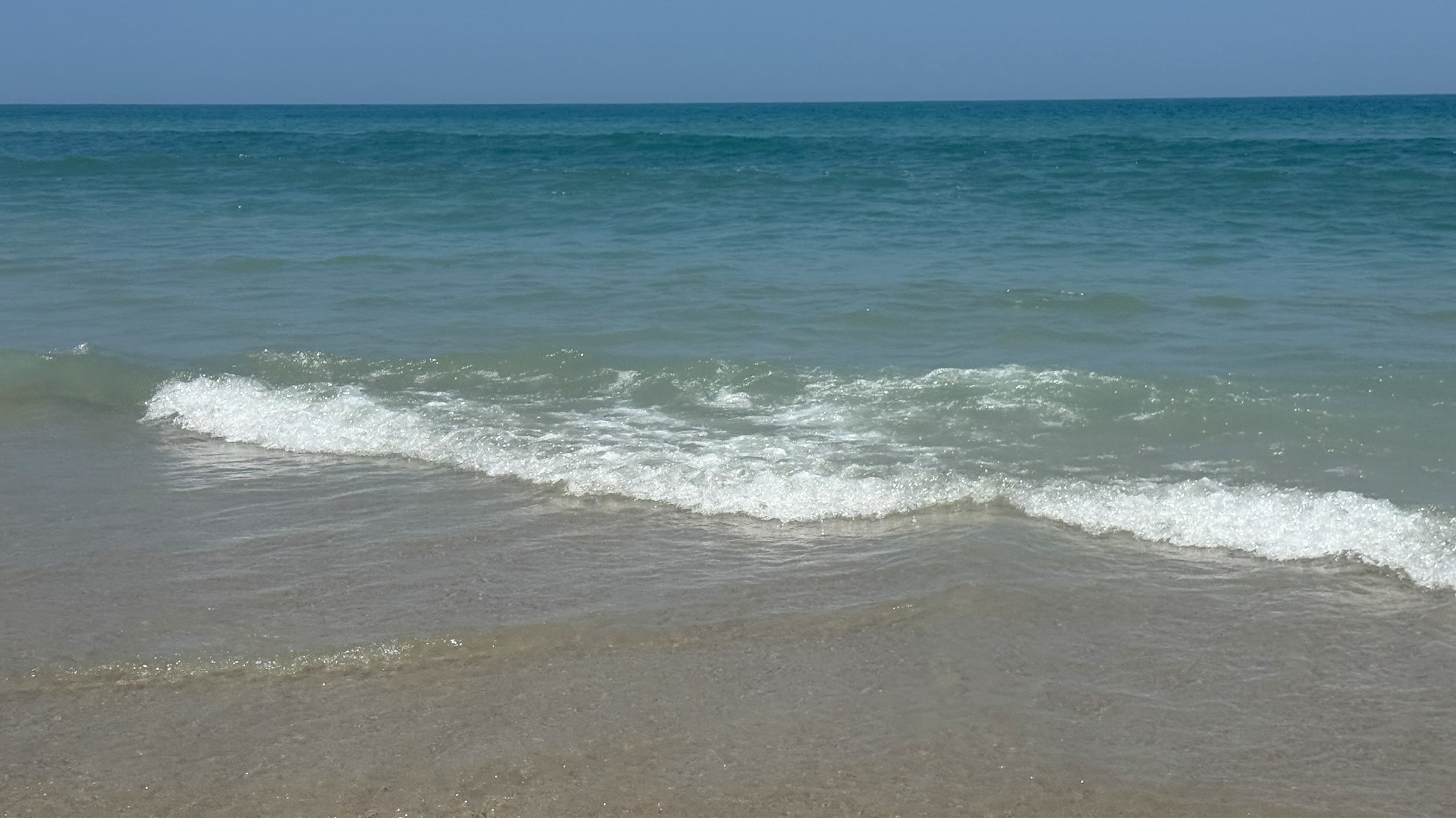 The Shore Remembers You: A Healing Beach Sleep Story (25 min)