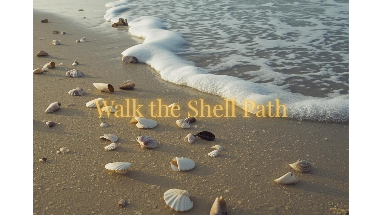 Walk the Shell Path: Sleep Meditation and Beach Wisdom from Florida’s Shores